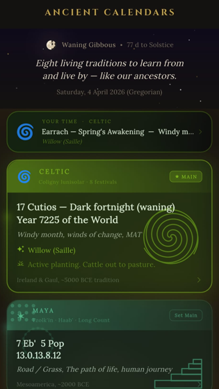 App screenshot placeholder